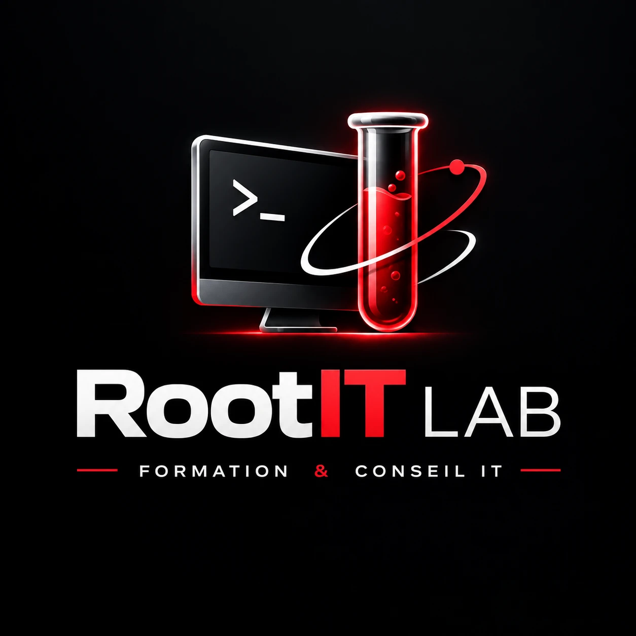 RootIT Lab, accueil